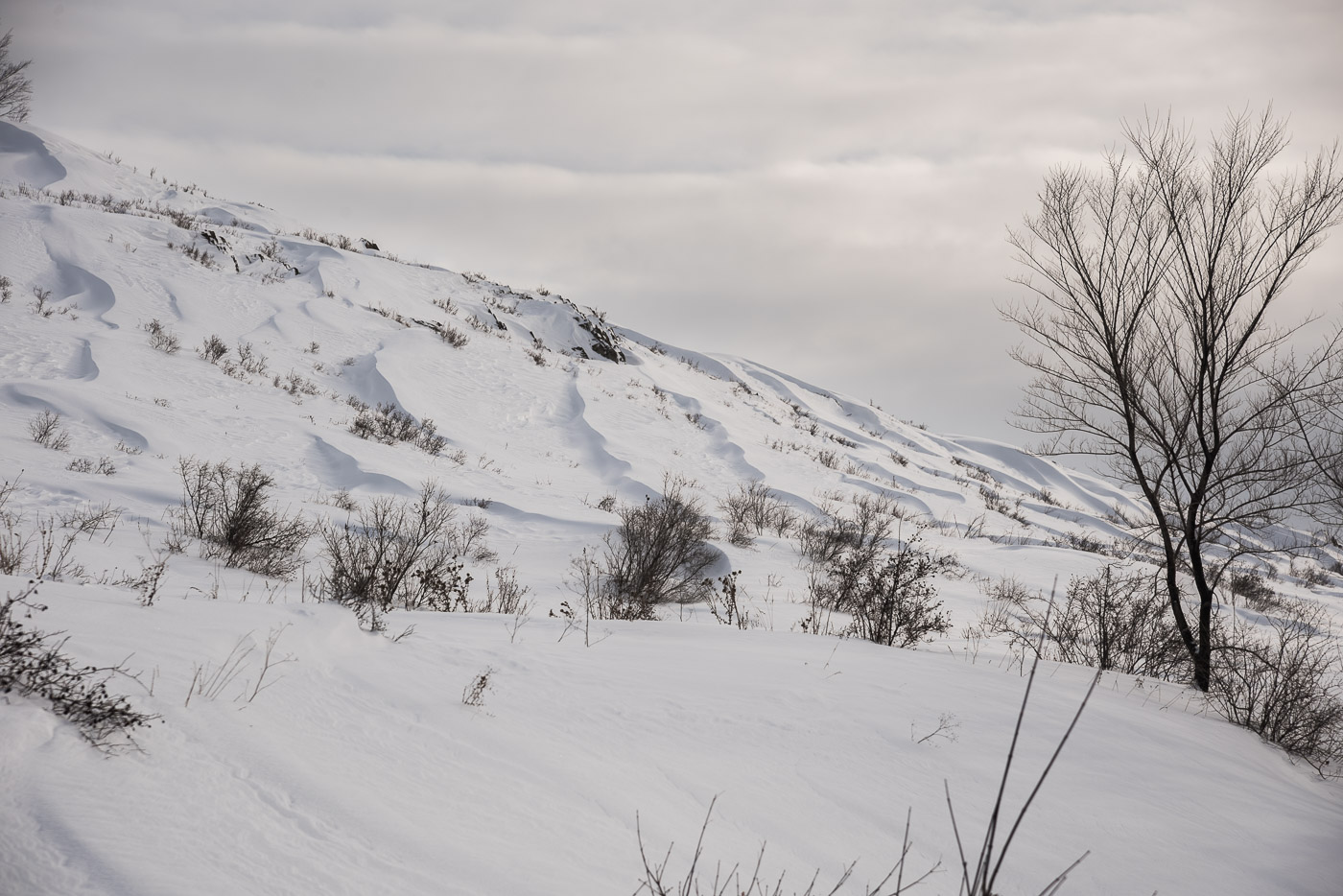 Снежные волны