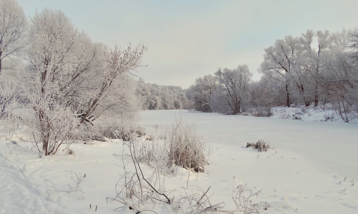 Иней украсил зимнюю природу
