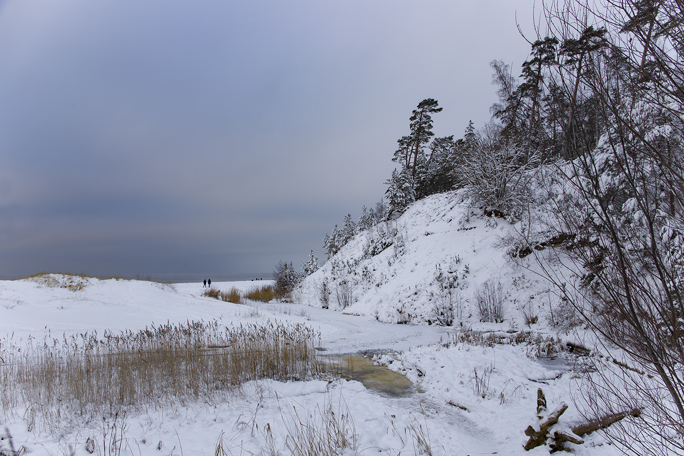 "Белая дюна"
