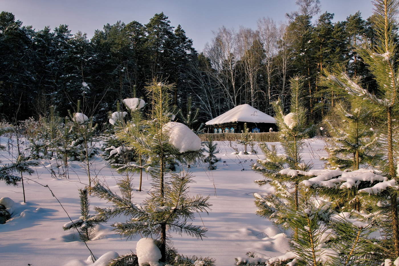 На краю леса.