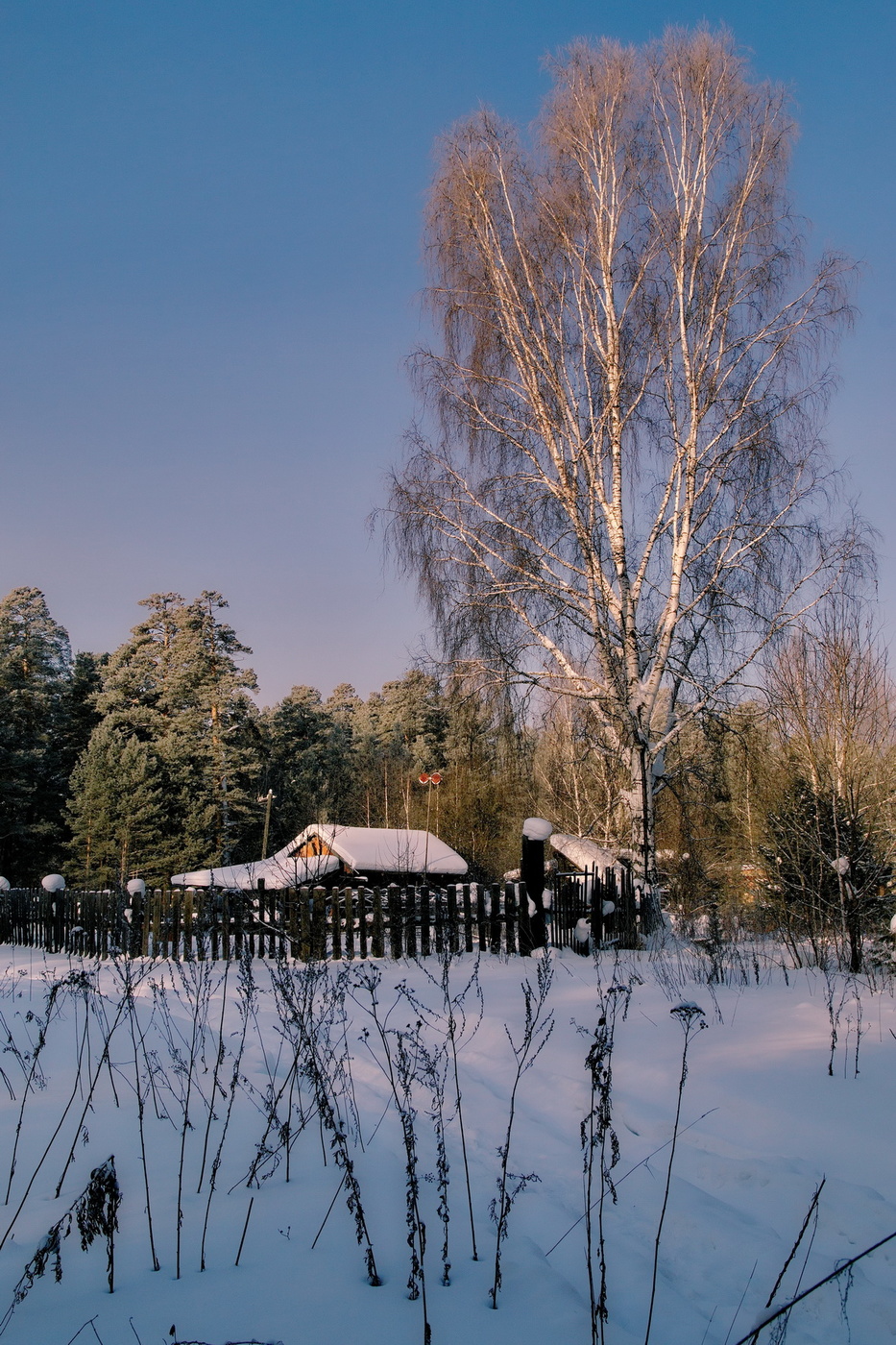 Морозный день.