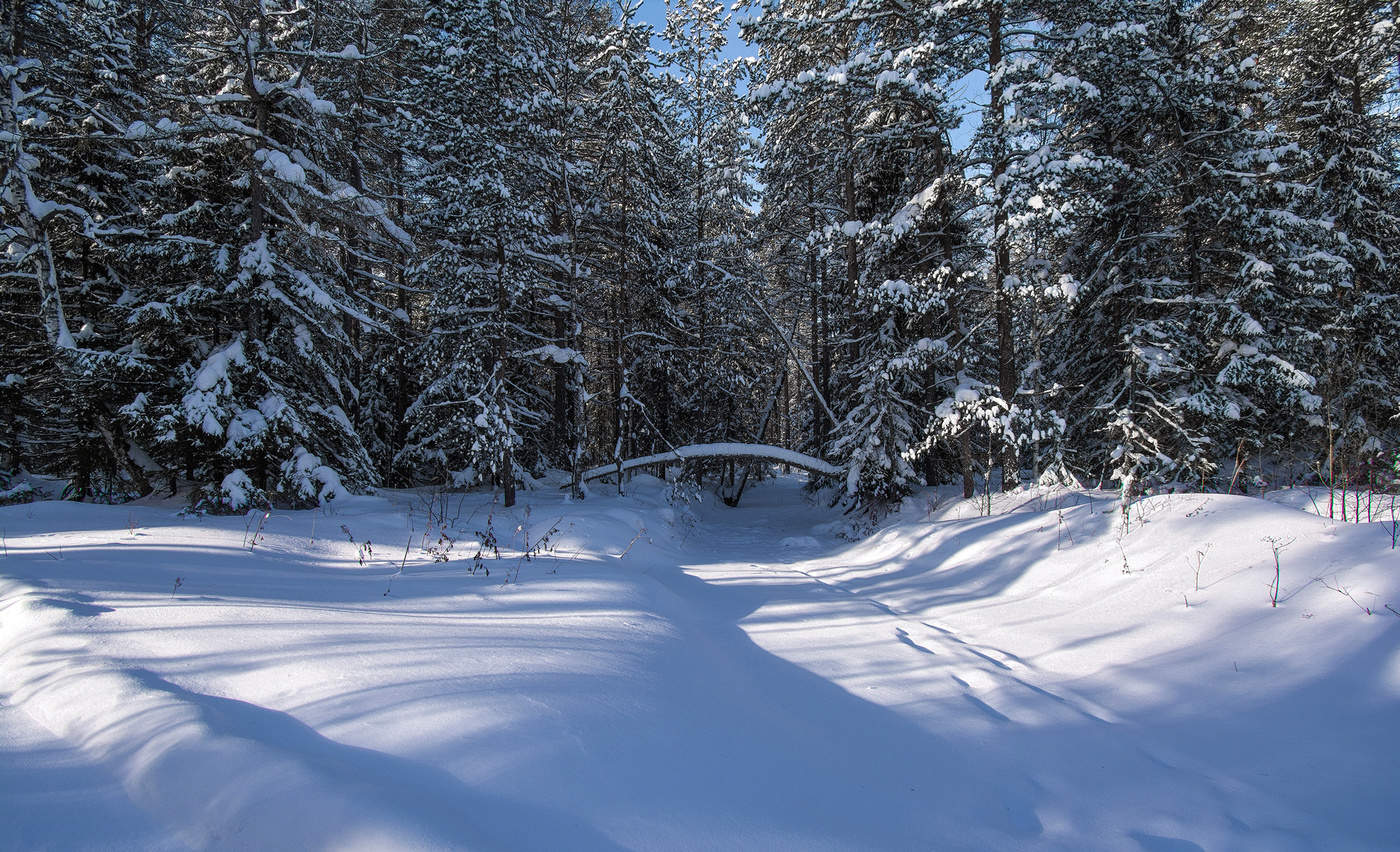 Зимы погода