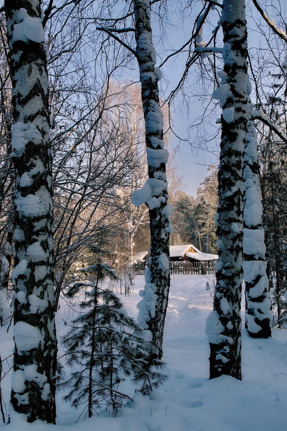 На лесной опушке.
