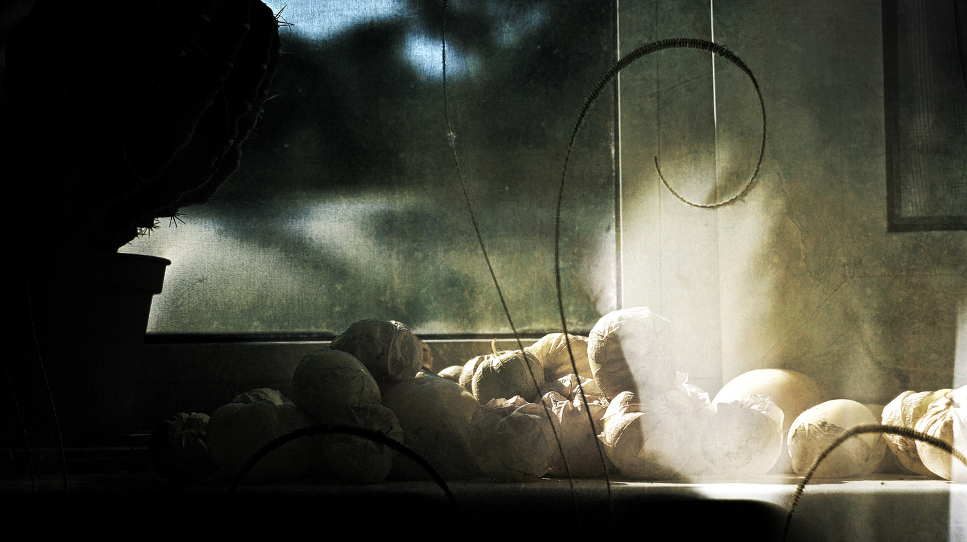 Про физалис.