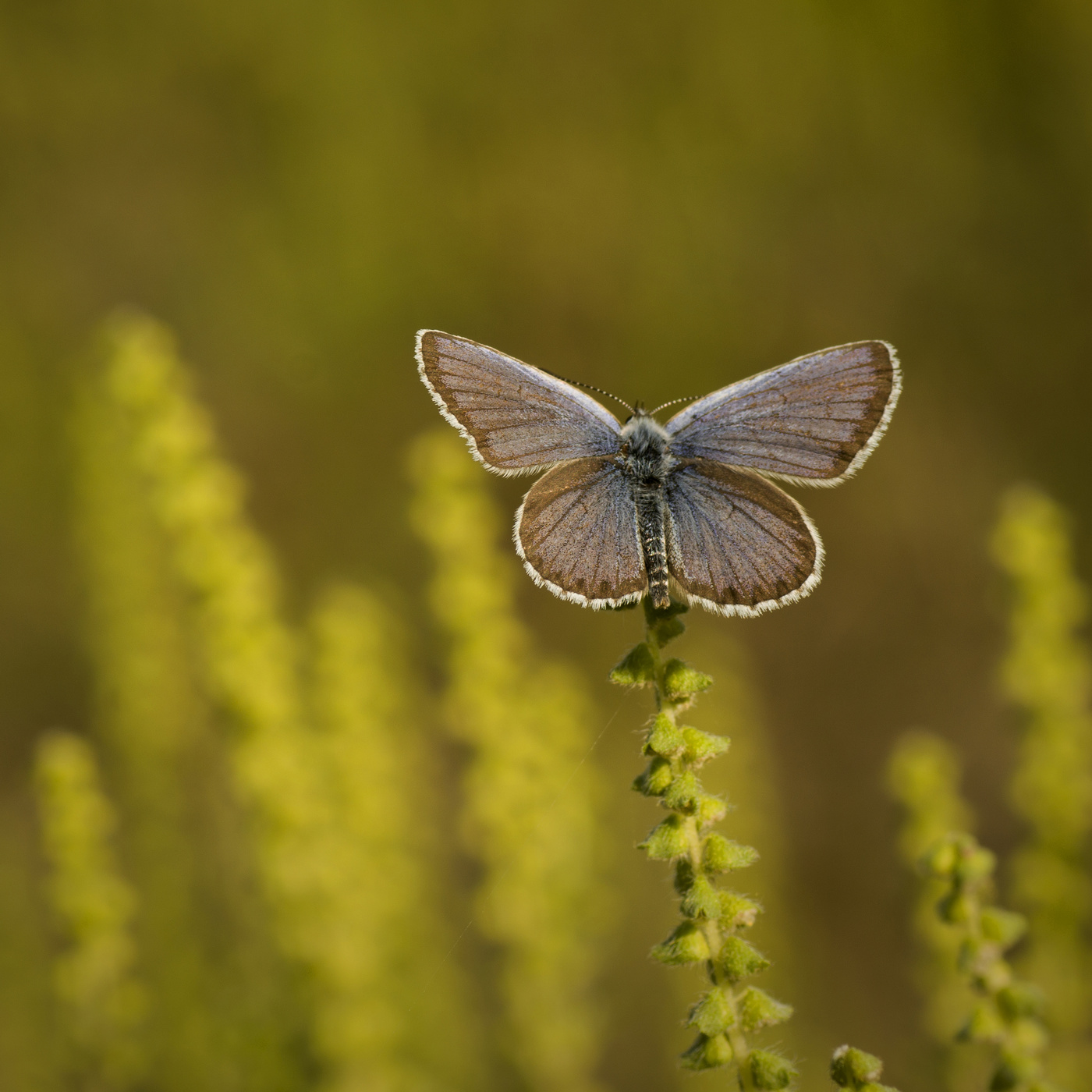 Одиночество