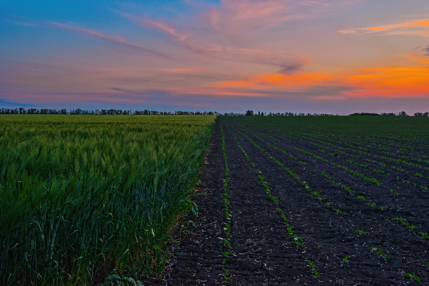 Настоящее и будущее.