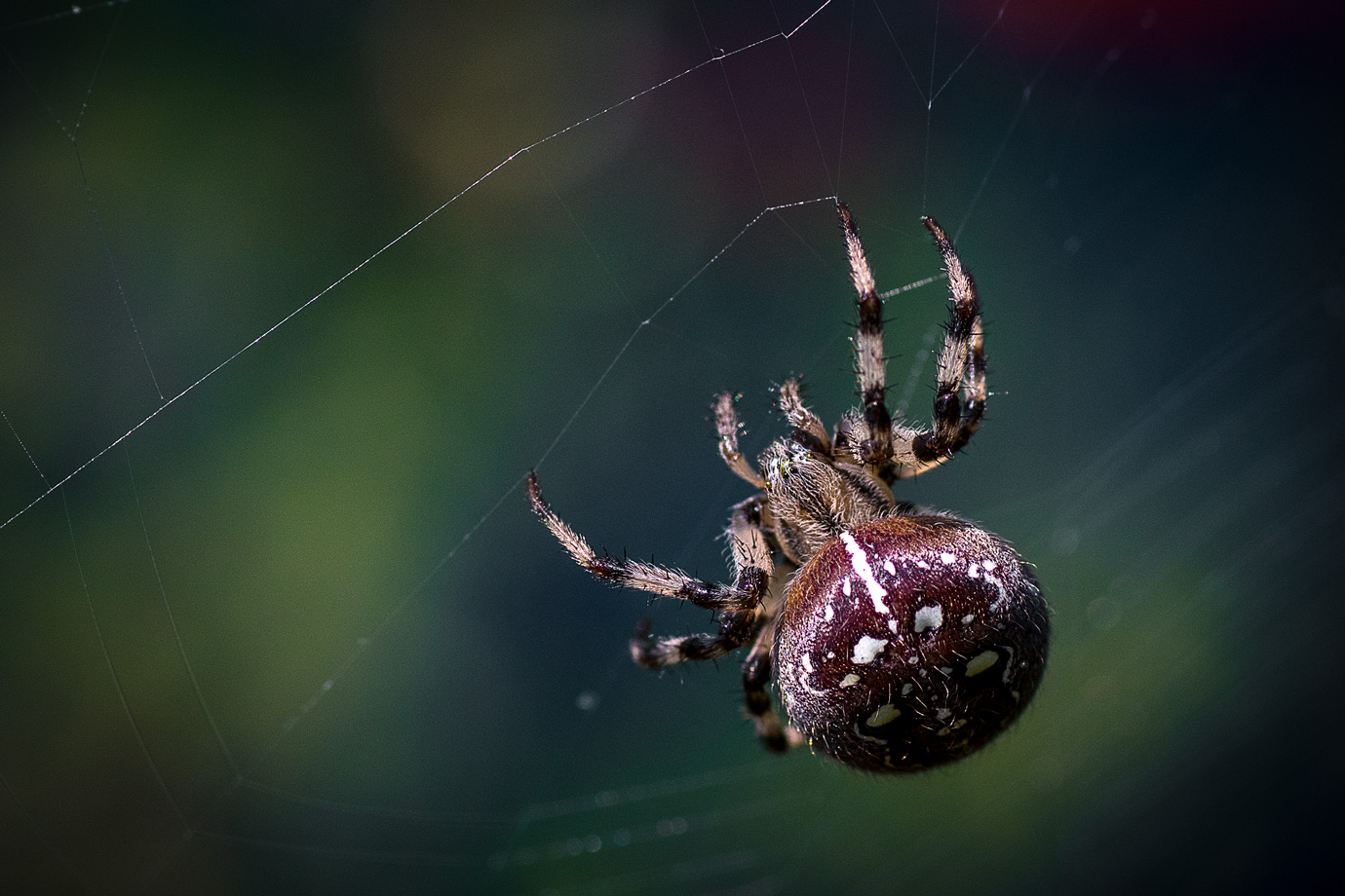Ткач за работой