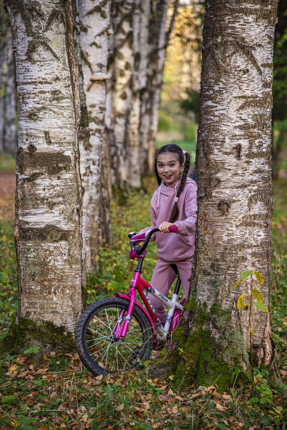 Среди берёзок