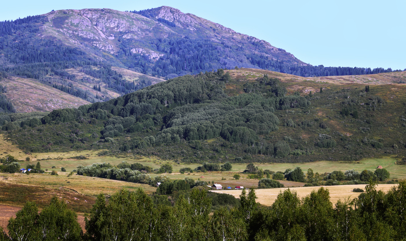 Вечер над хутором