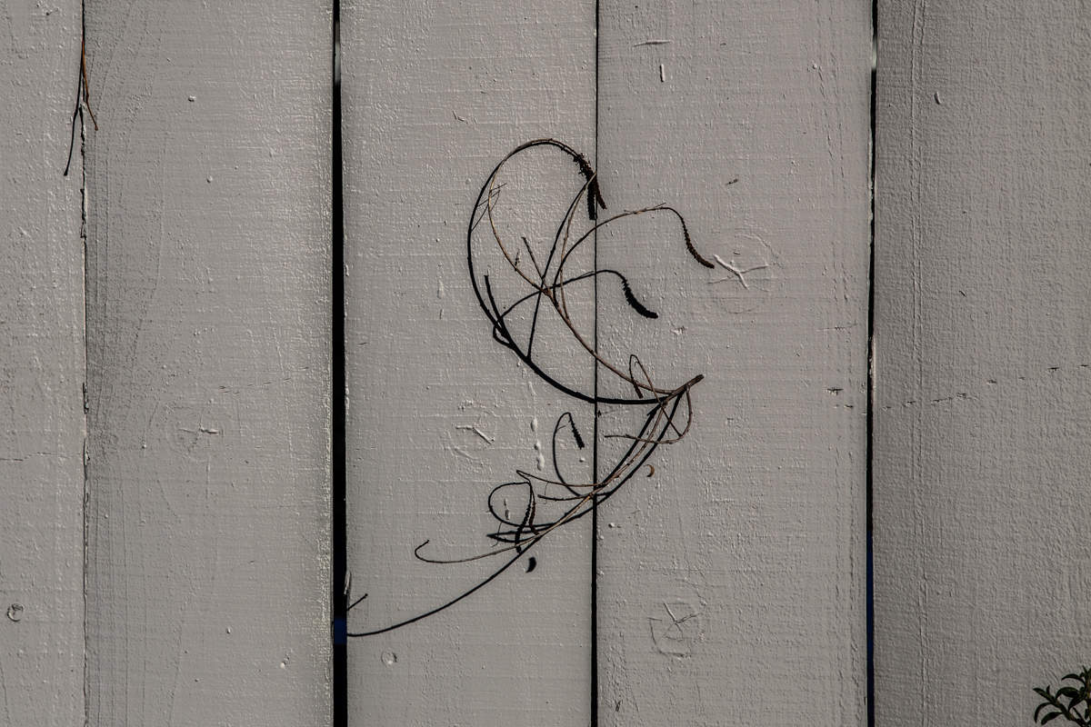 Завиток на заборе