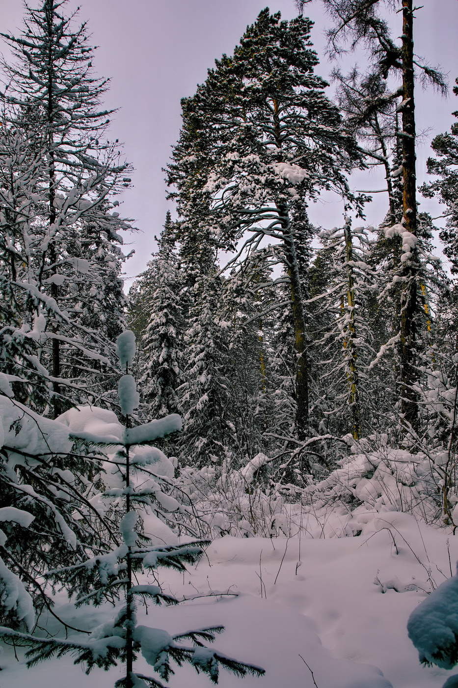 В таёжной глуши.