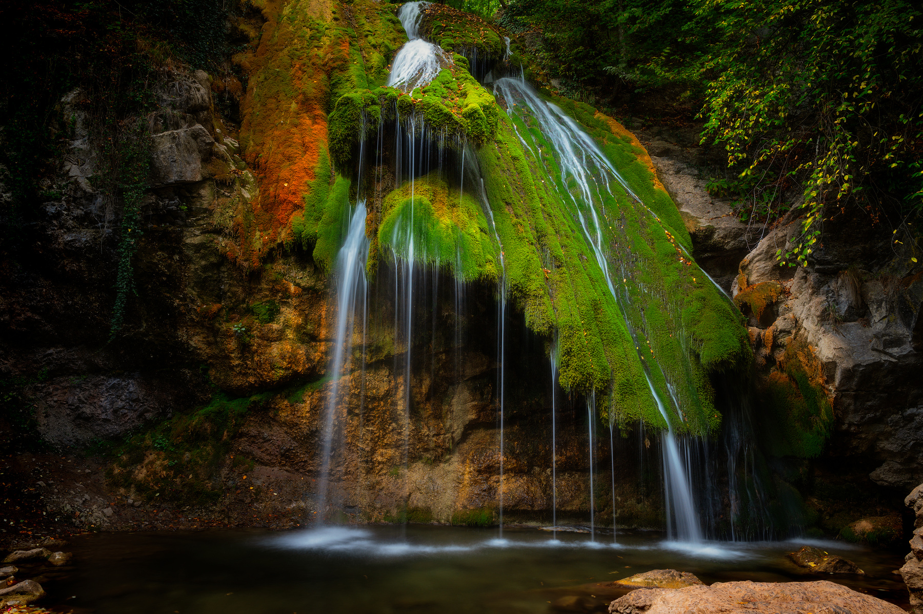 Живительные струи
