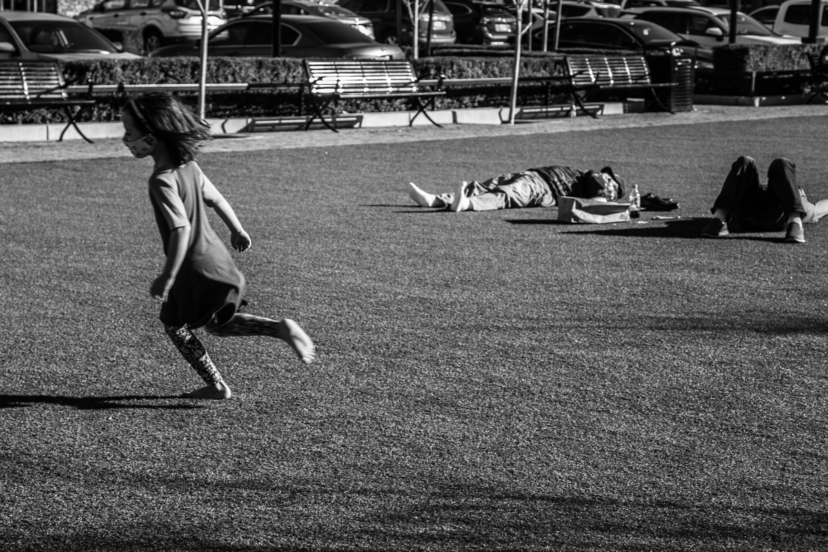 Побег из курятника