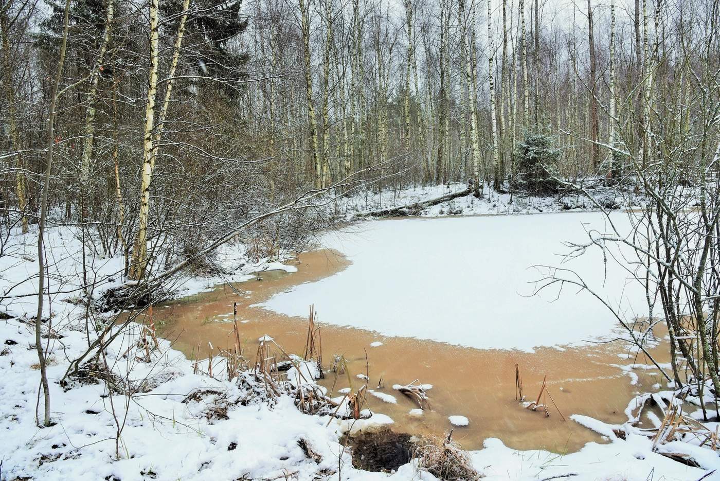 "Я думала это весна, а это оттепель..."