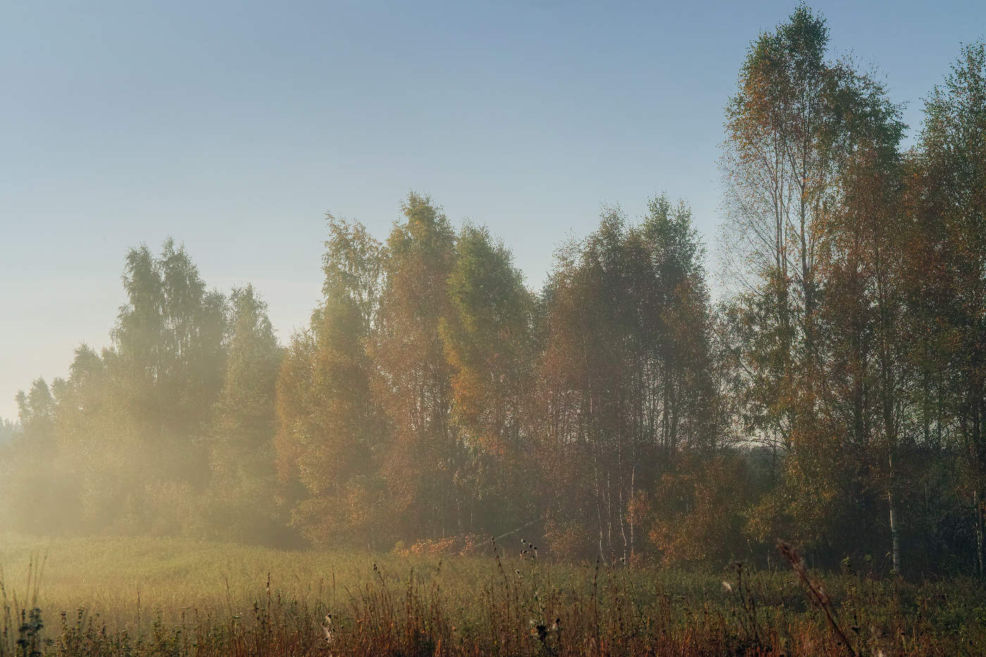 Солнечная дымка