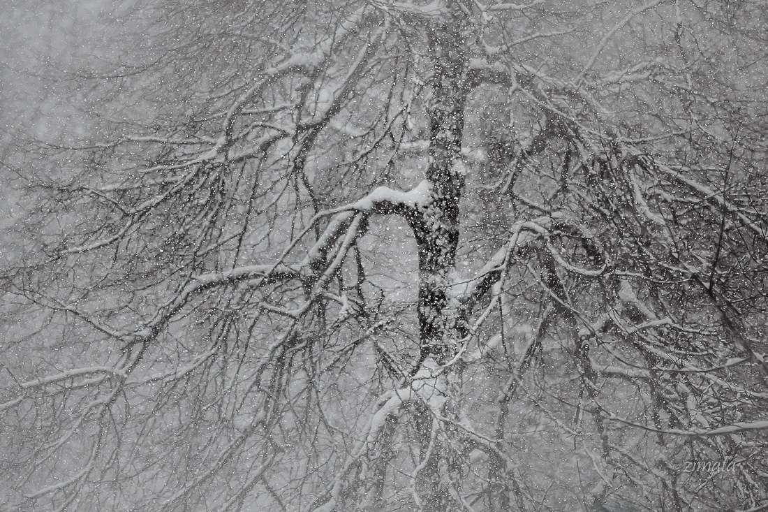 Чистая пятница