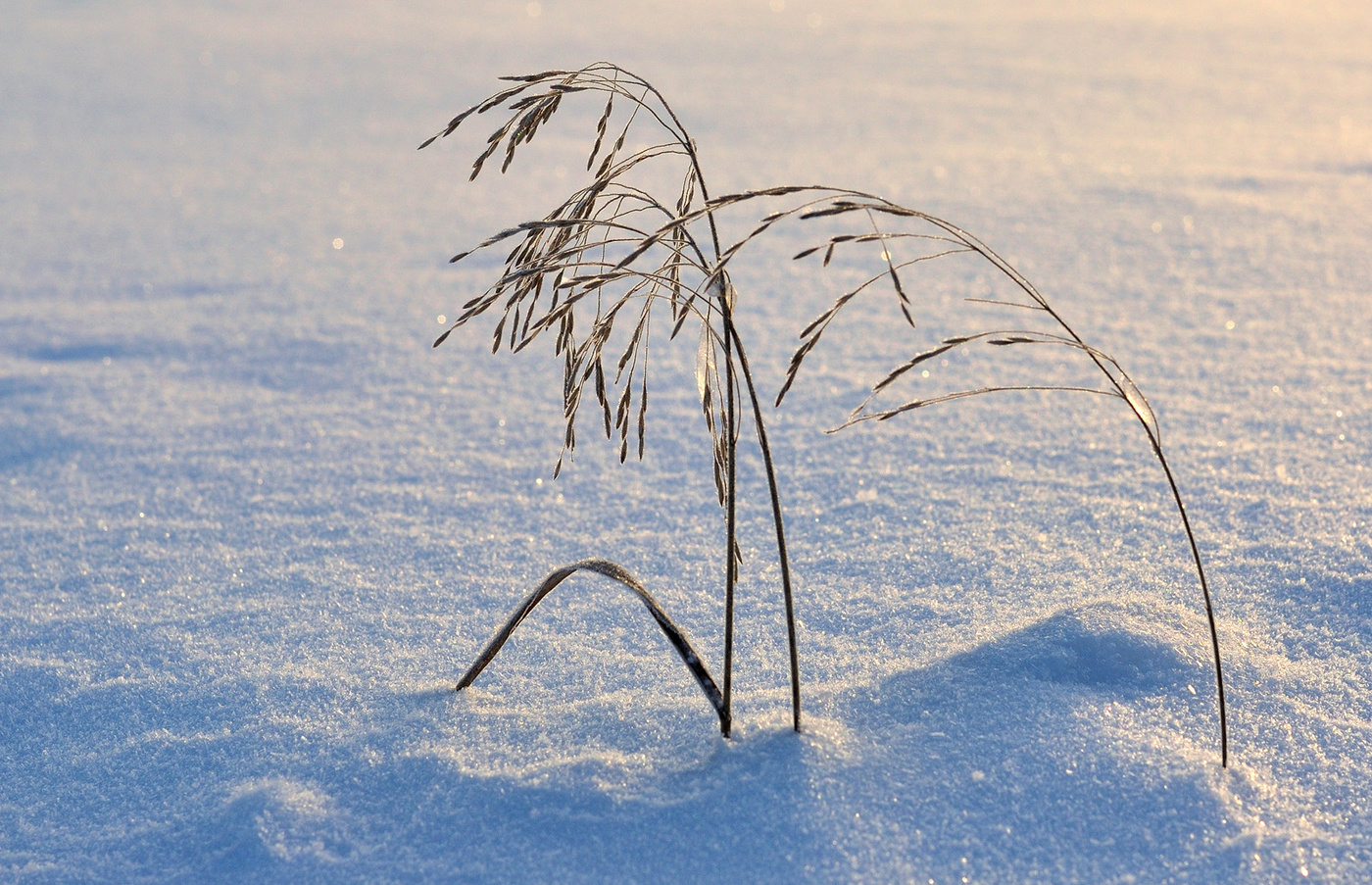 Чистая пятница