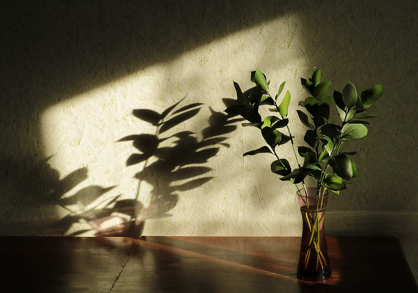 Свет и тени 2