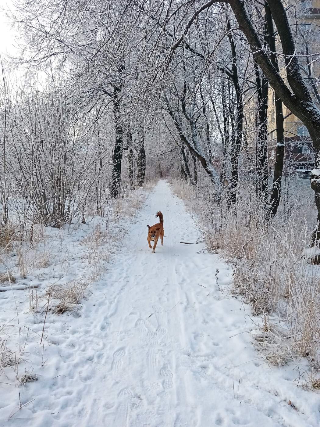 Чистая пятница