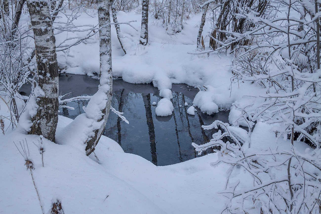 Лесное зеркальце скажи...