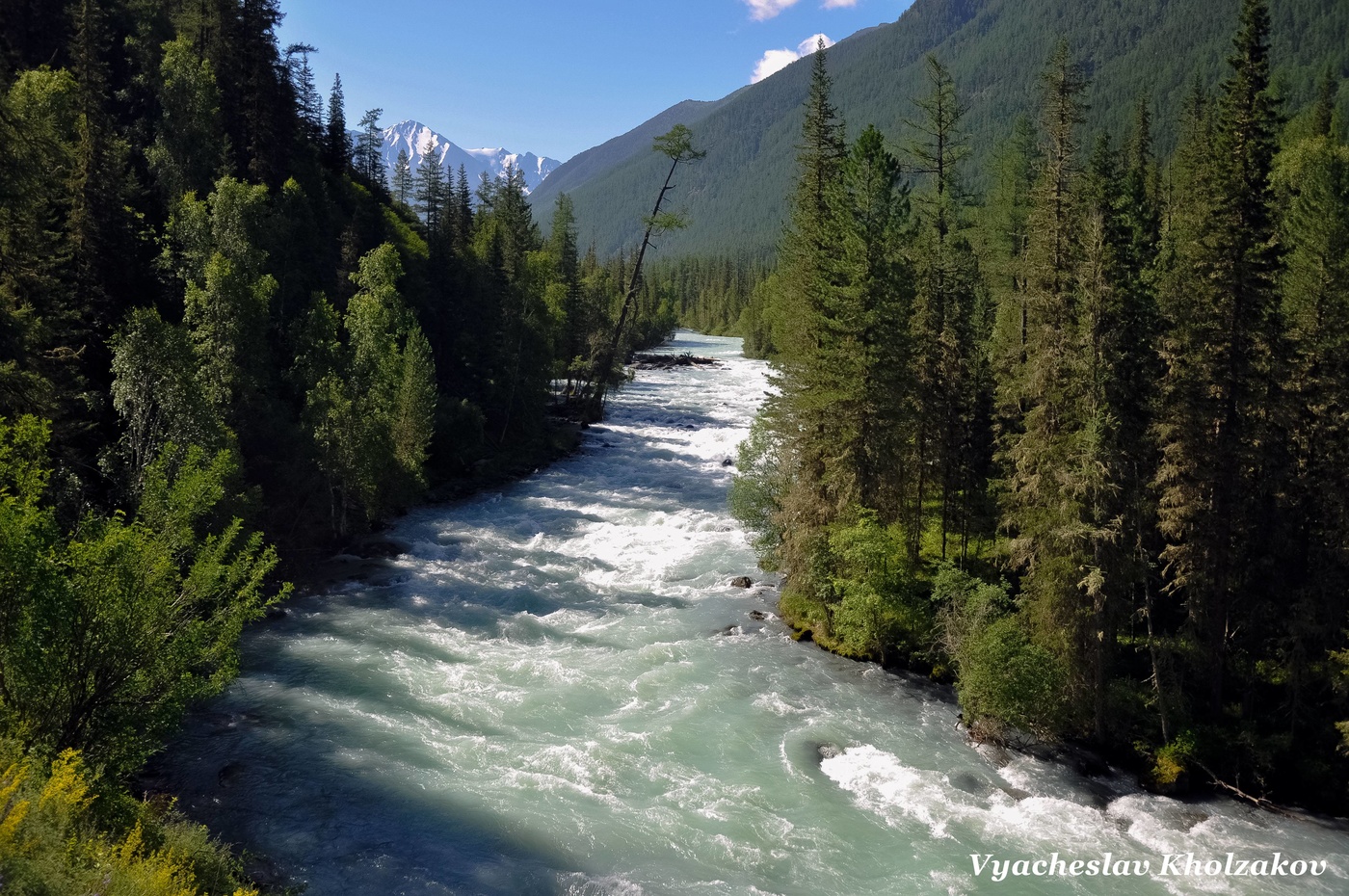Алтай, река Кучерла