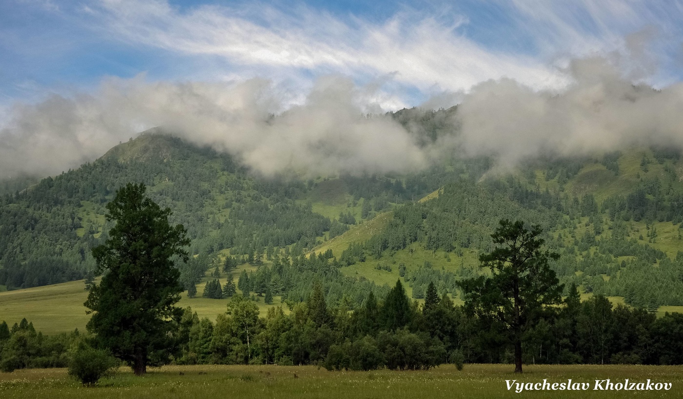 Утро на Алтае
