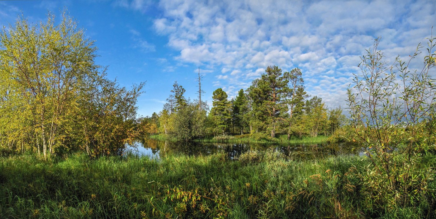 осень крадётся тихо...