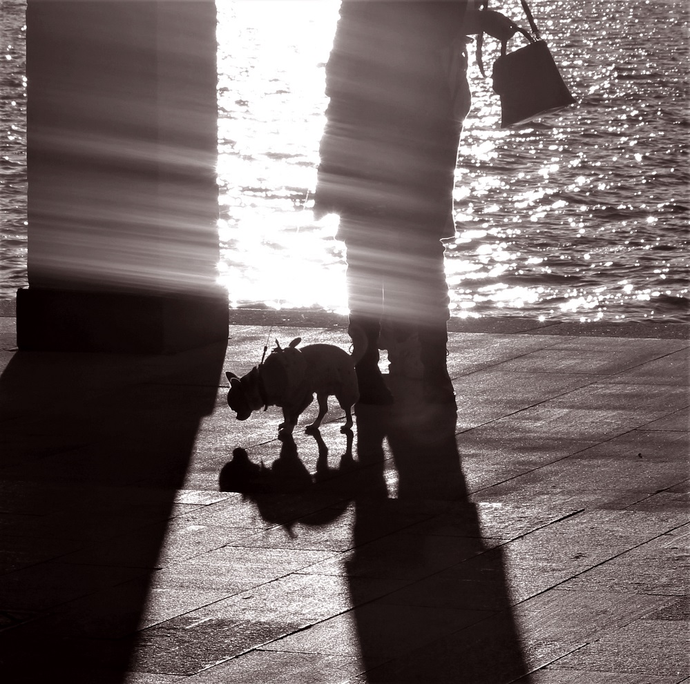 Картина, корзина, картонка и...