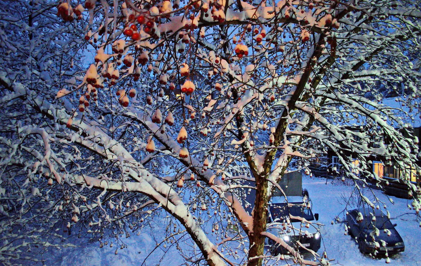 вид из окна