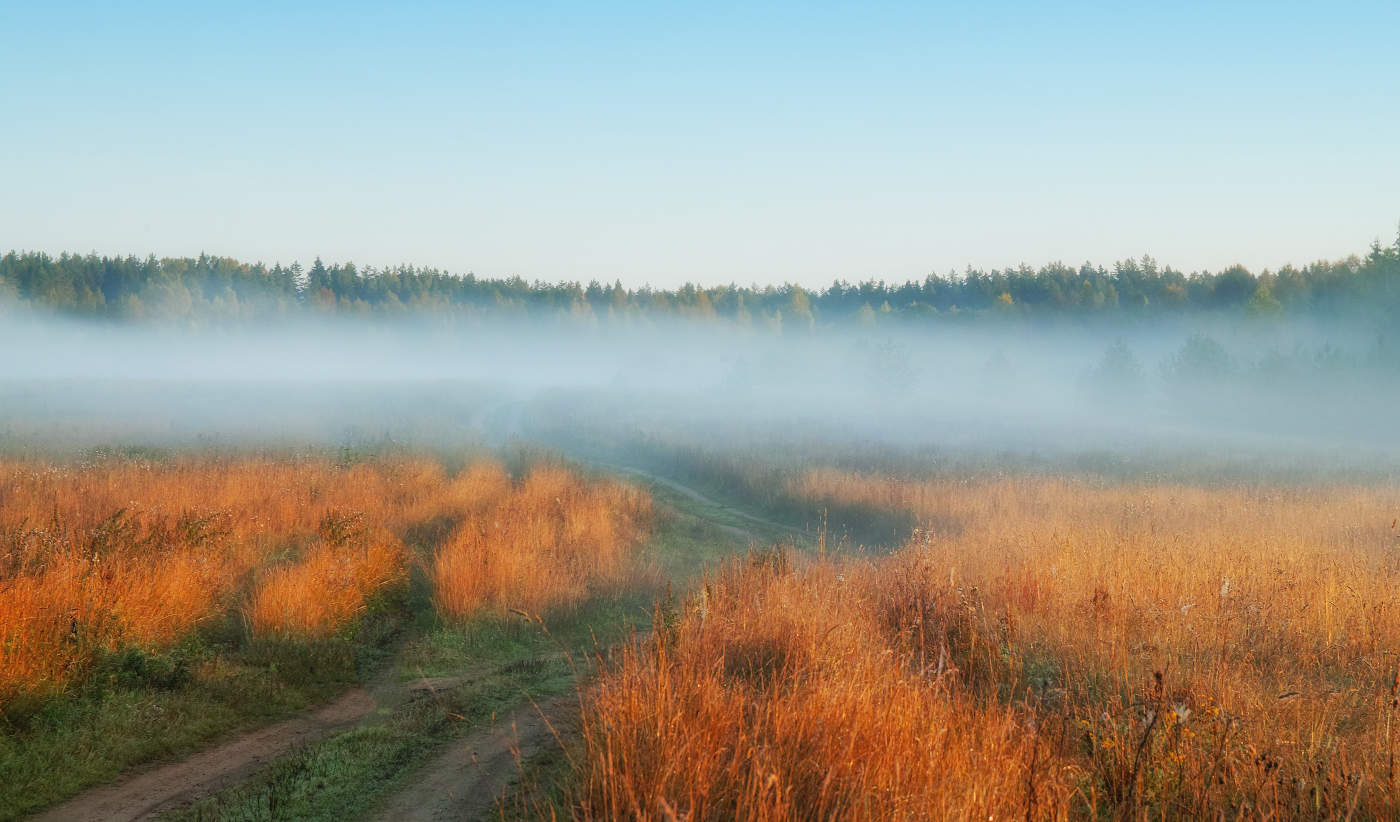 Дорога в даль туманную