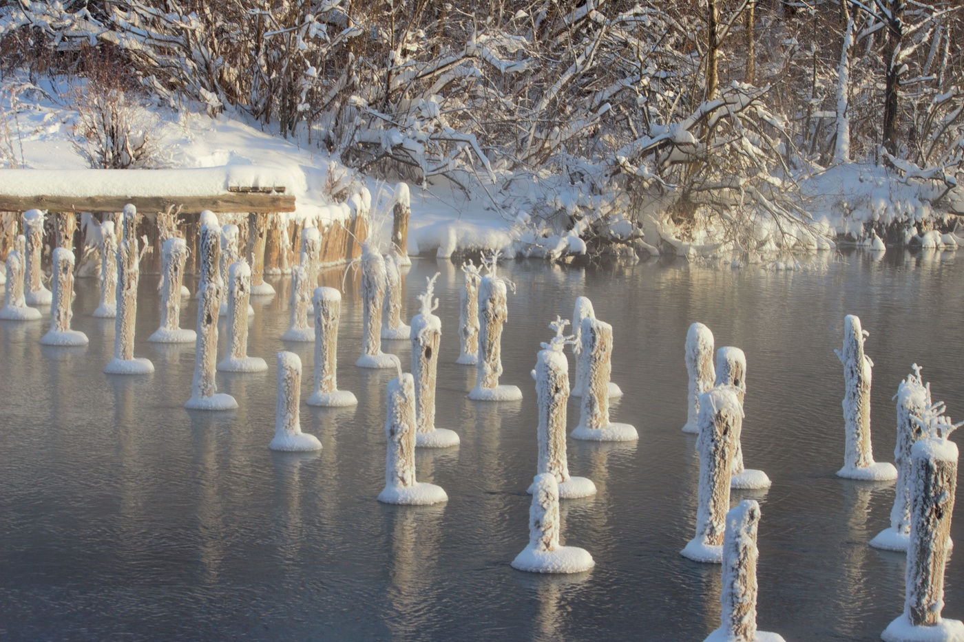 На озере Белом