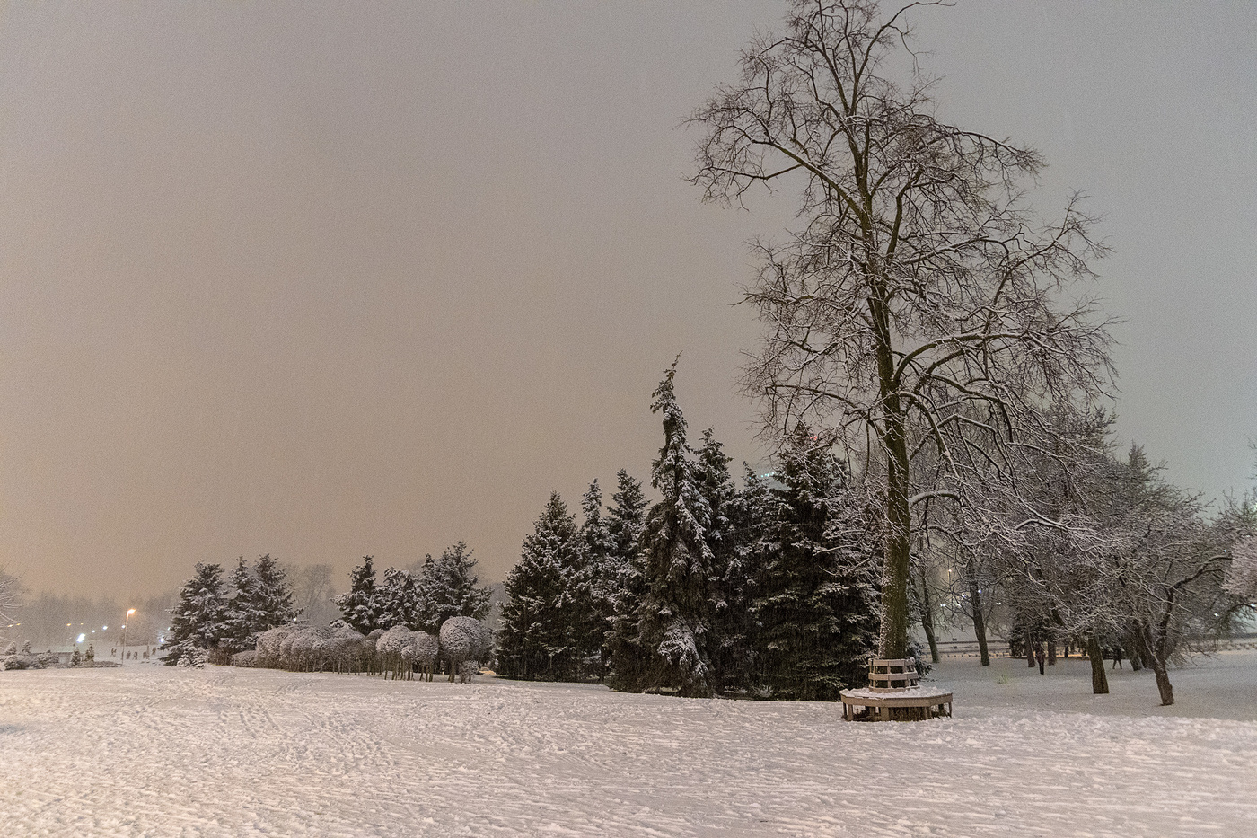 Яенварьским вечером