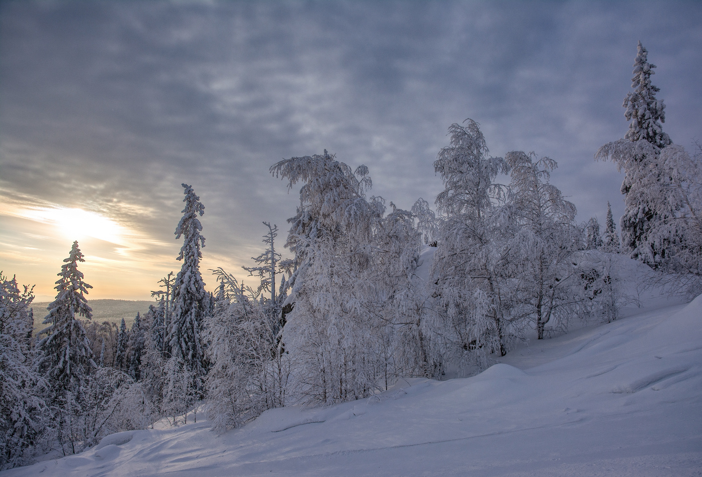 Зимняя тишина