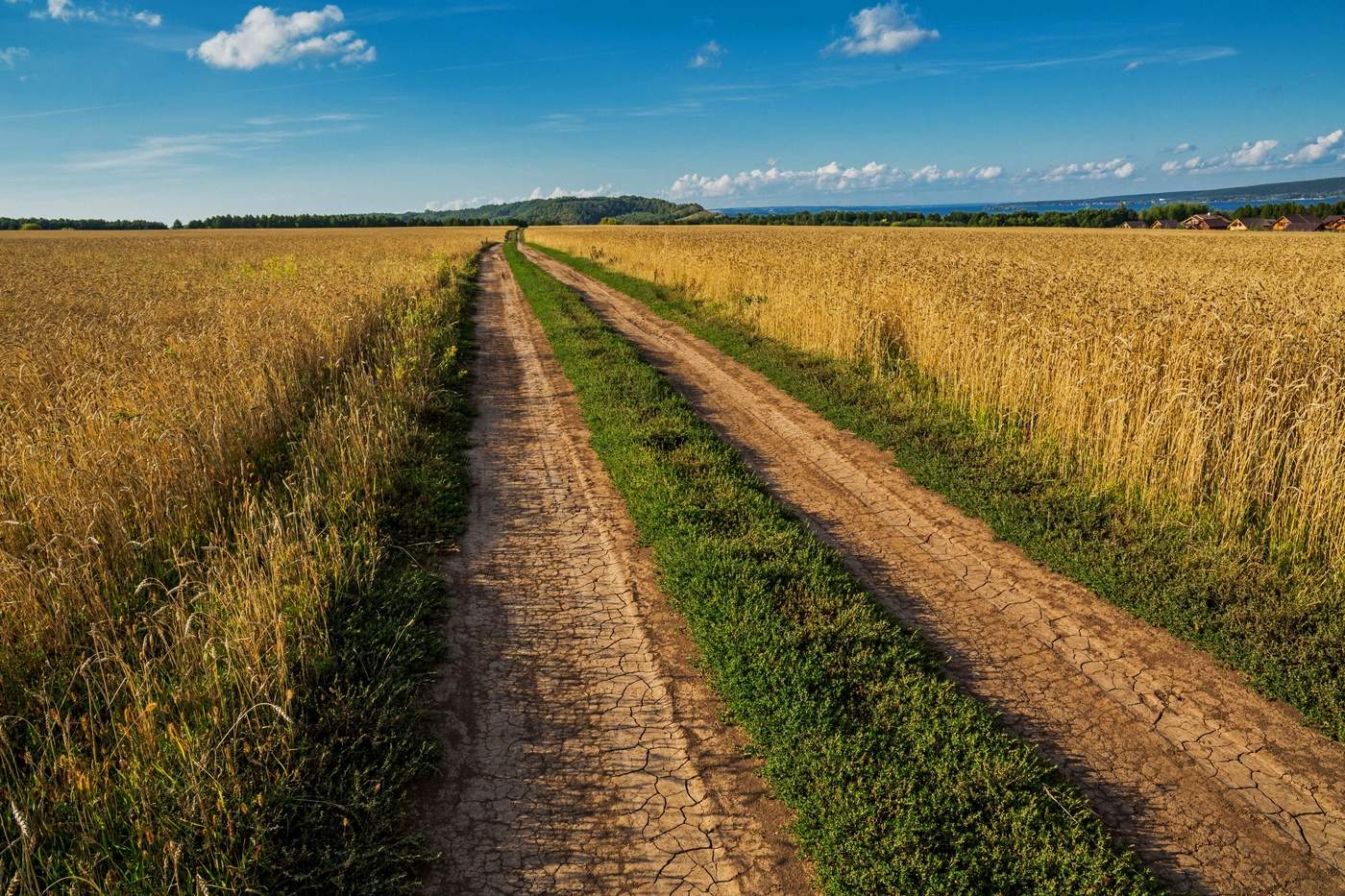 Дорога в полях