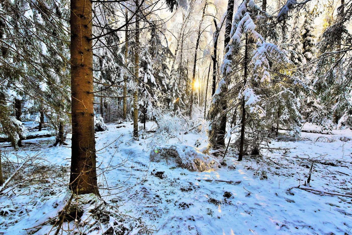 "Все будет так же после нас ..."