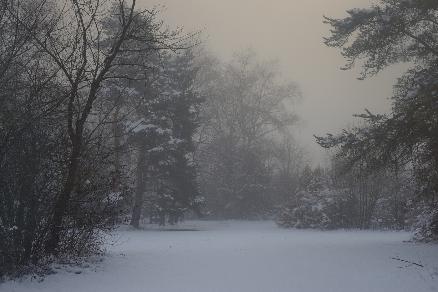 Зимнее утро