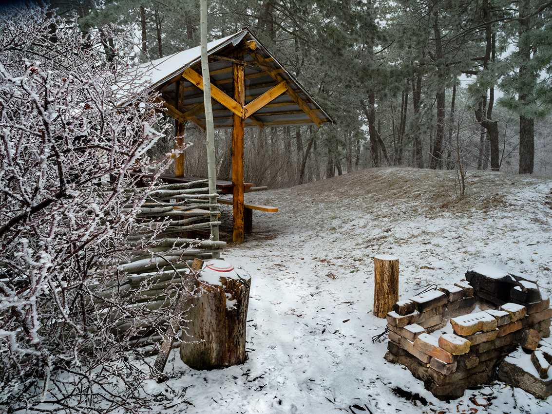 Лесная беседка