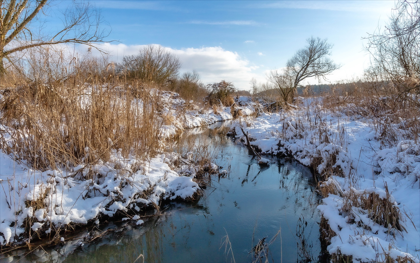 Завеснился февраль...