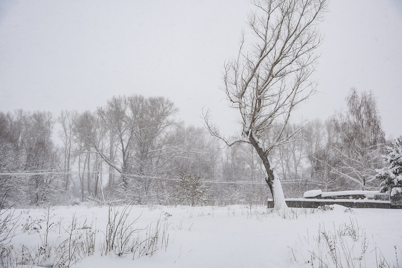 И все терялось в снежной мгле cедой и белой