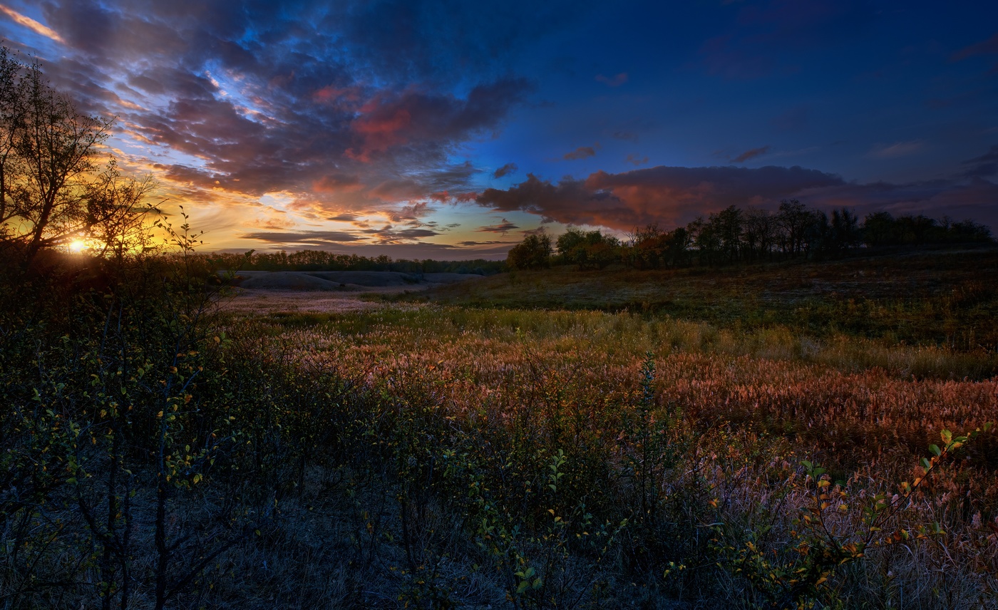 Камышовая дорога