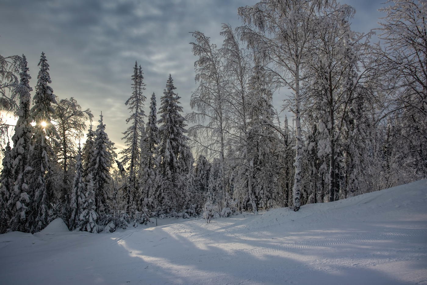 Зимнее солнце