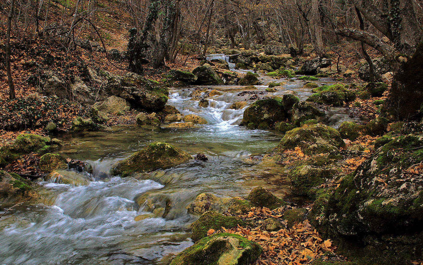 Бегут ручьи