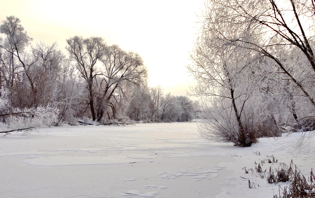 Зима в разгаре
