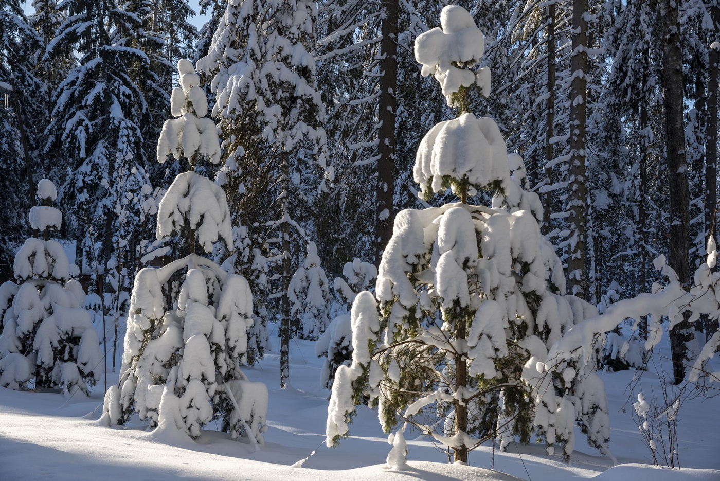 После снегопада