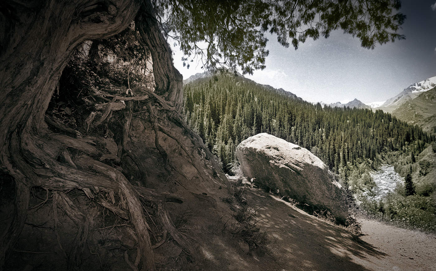 Ала-Арчинское ущелье