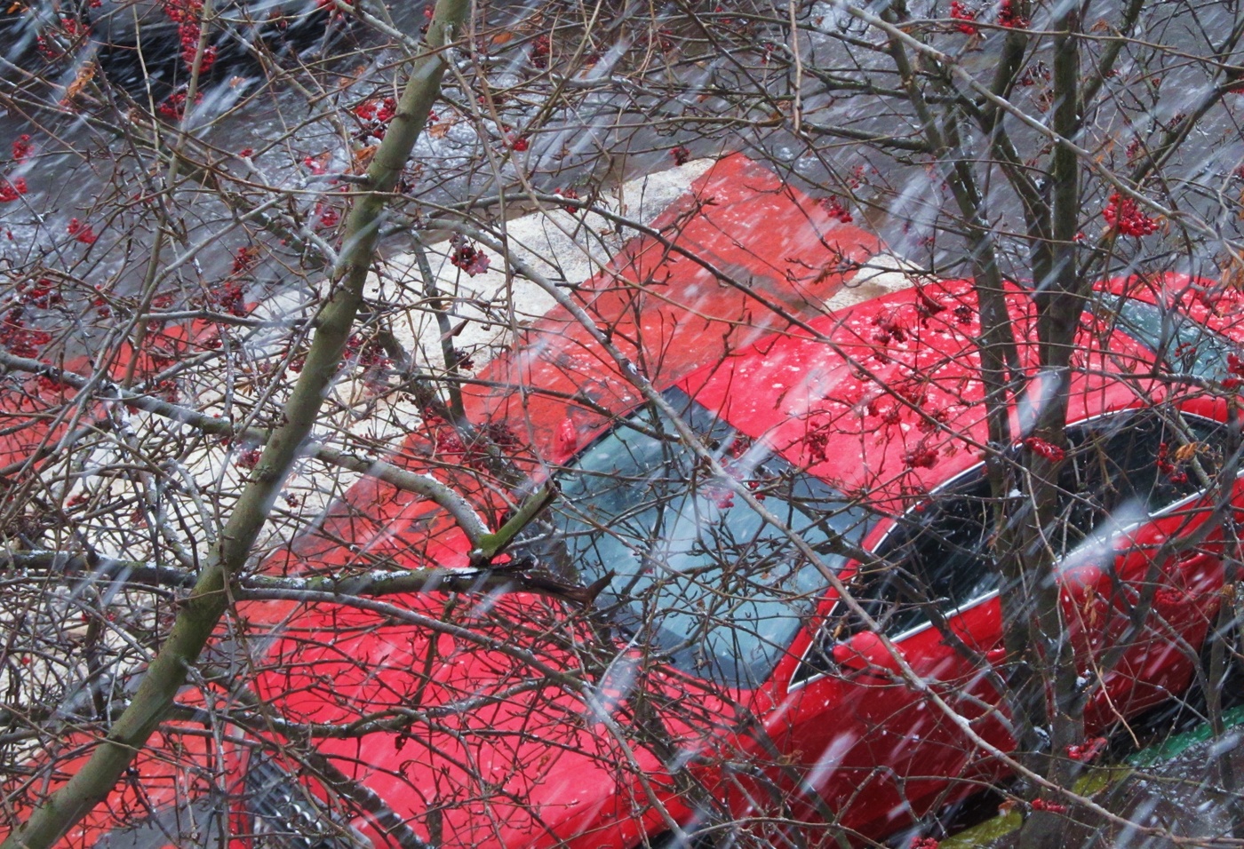 Зимний этюд.