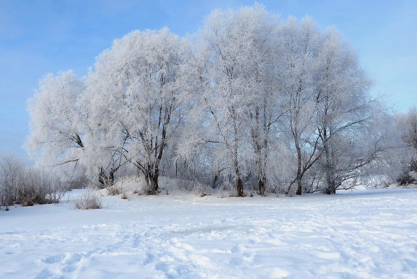 Кружевная красота.