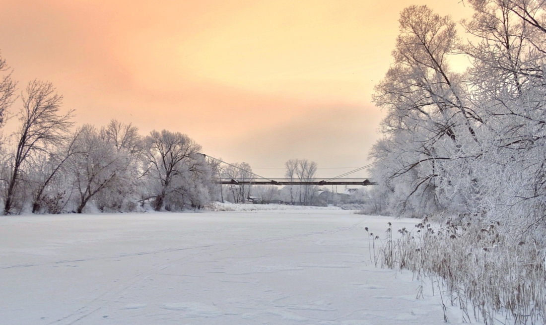 К утру мороз дал знать о себе