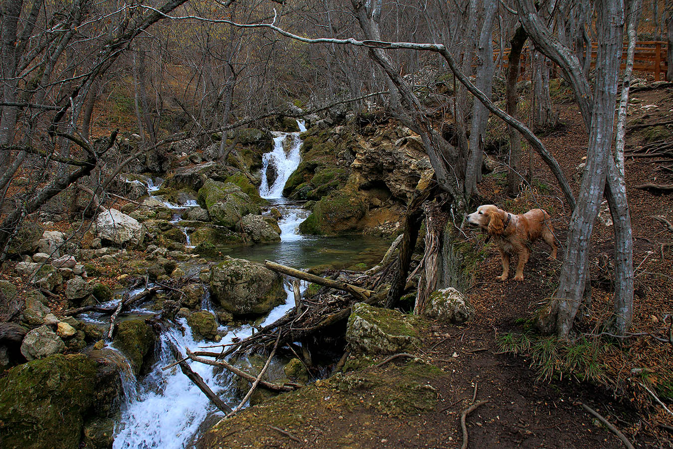 В Кизилкобинском ущелье