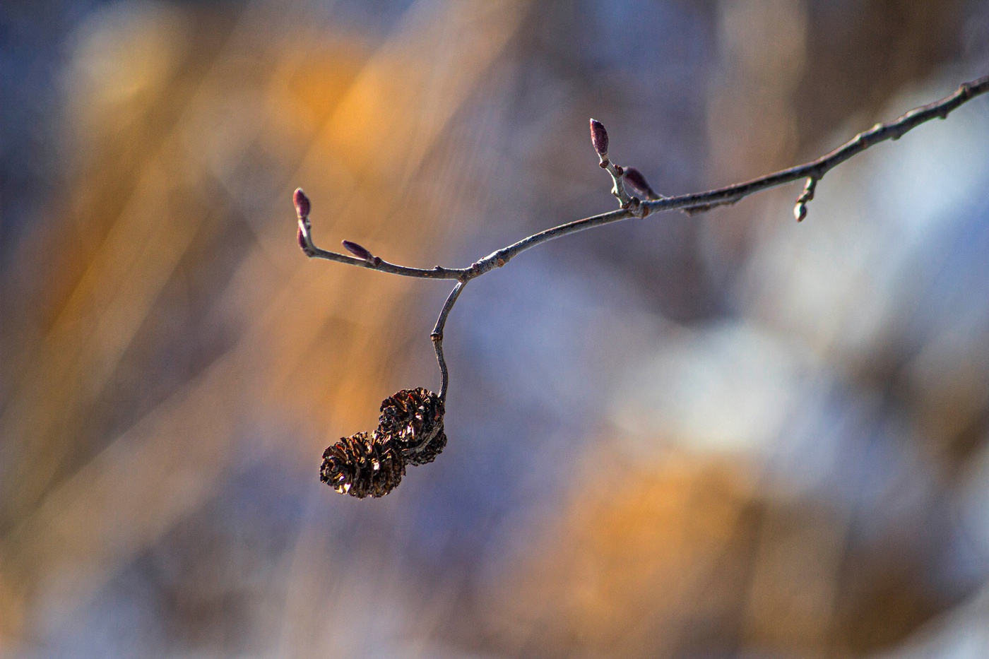 ...И вдруг повеяло весной...
